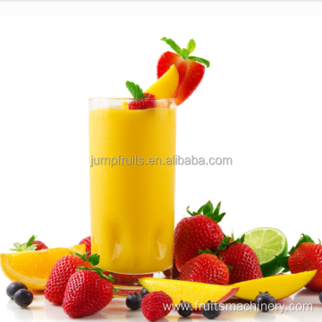 strawberry juice pulp processing machines